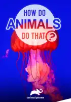  Удивительный мир животных смотреть онлайн тв шоу 1 сезон 