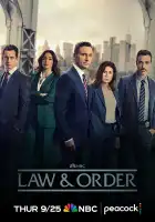  Закон и порядок смотреть онлайн сериал 1-23 сезон 