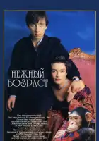 Нежный возраст смотреть онлайн (2000)