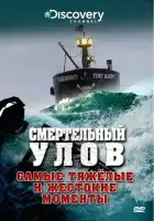  Смертельный улов смотреть онлайн тв шоу 1-21 сезон 