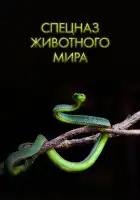  Спецназ животного мира смотреть онлайн тв шоу 1 сезон 