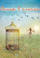  Птица в клетке смотреть онлайн сериал 1 сезон 