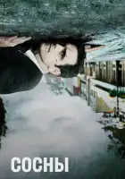  Сосны смотреть онлайн сериал 1-2 сезон 