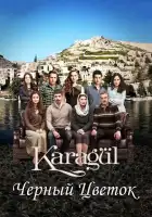 Черный цветок смотреть онлайн сериал 1-4 сезон