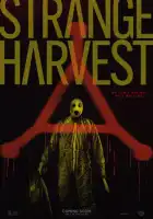  Странный урожай смотреть онлайн (2024) 