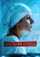  Анатомия сердца смотреть онлайн сериал 1 сезон 