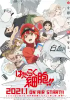  Работа клеток смотреть онлайн аниме сериал 1-2 сезон 