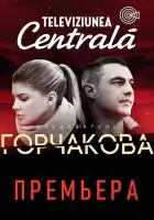  Следователь Горчакова смотреть онлайн сериал 1-2 сезон 