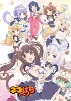  Кошачий рай смотреть онлайн аниме сериал 1 сезон 