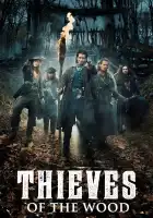  Фламандские разбойники смотреть онлайн сериал 1 сезон 