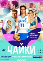  Чайки смотреть онлайн сериал 1 сезон 