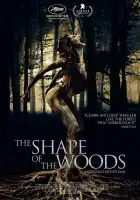  Форма леса смотреть онлайн (2021) 