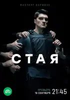  Стая смотреть онлайн сериал 1 сезон 