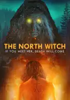  Северная ведьма смотреть онлайн (2024) 