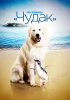  По кличке «Чудак» смотреть онлайн (2015) 