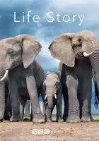  История жизни смотреть онлайн сериал 1 сезон 