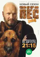  Пёс смотреть онлайн сериал 1-6 сезон 