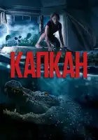  Капкан смотреть онлайн (2019) 