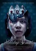  Пока смерть не разлучит смотреть онлайн (2024) 