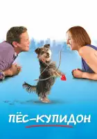  Пес-купидон смотреть онлайн (2012) 