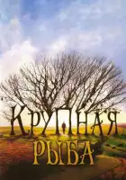  Крупная рыба смотреть онлайн (2003) 